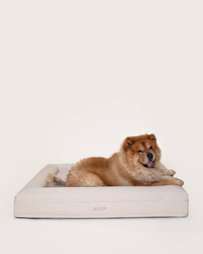 Dog Bed Large Chow Frontal