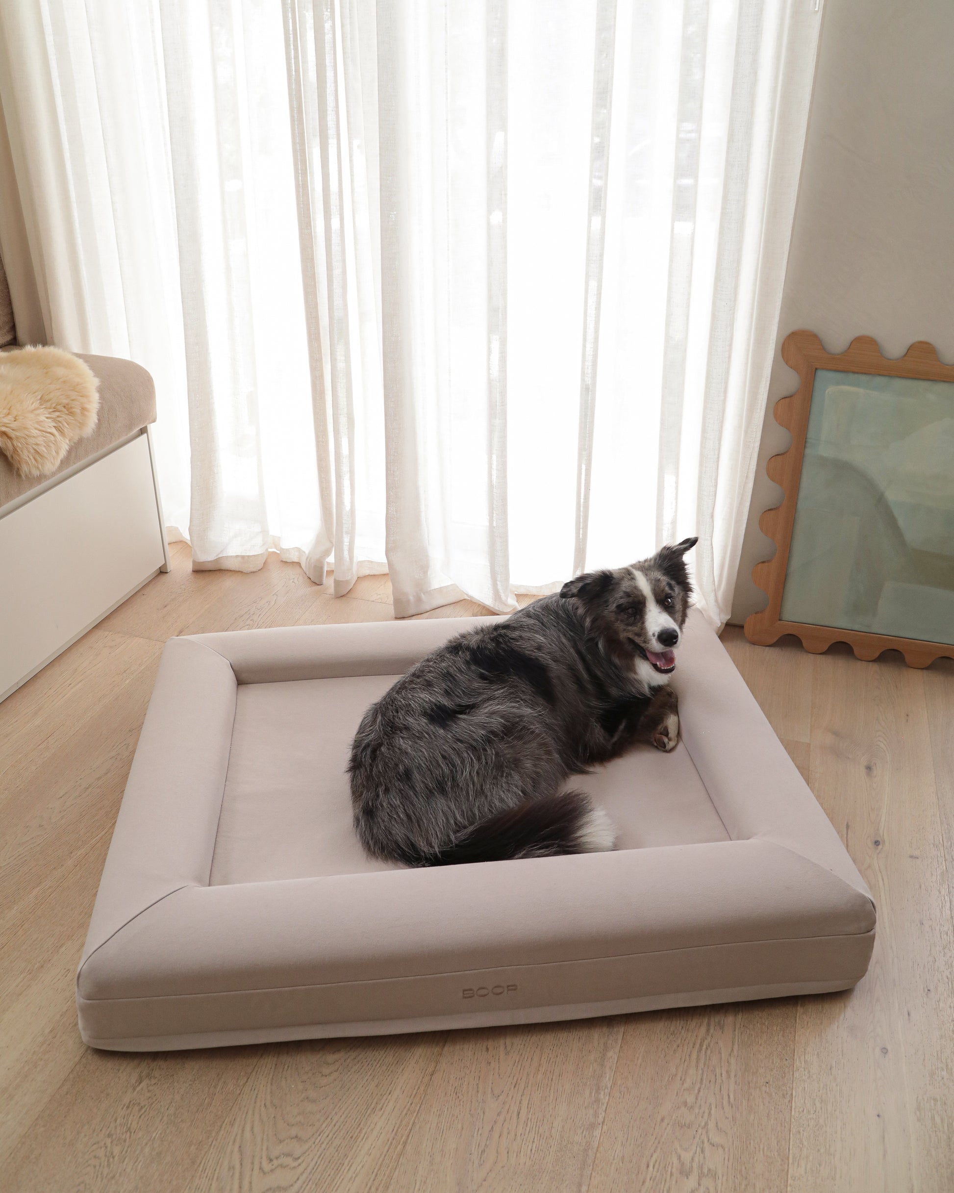 Dog Bed Large Hero Frontal