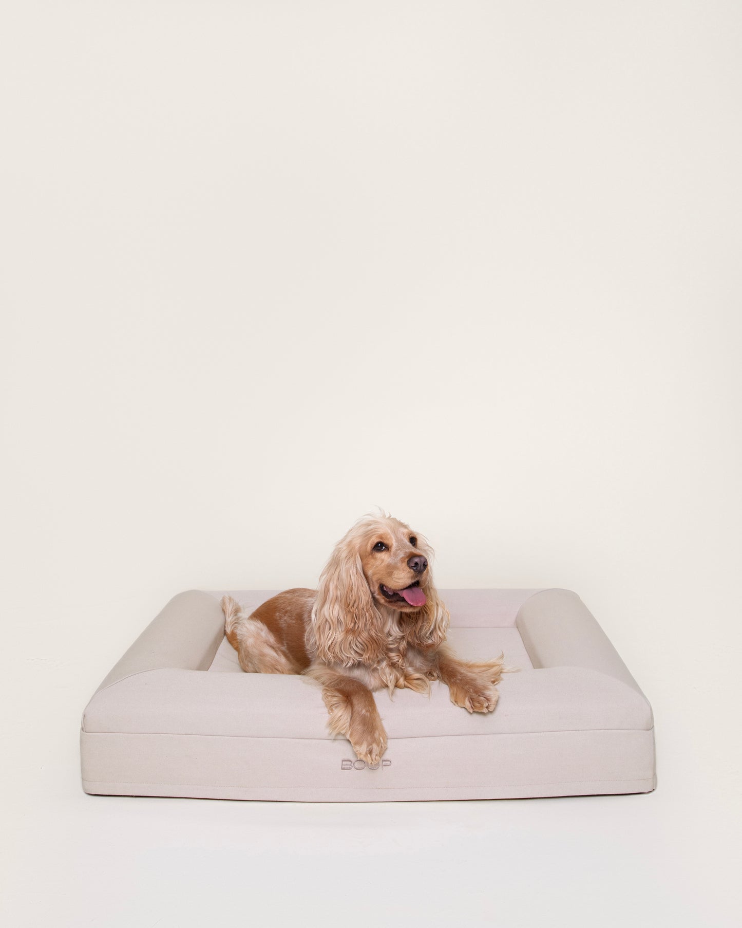 Dog Bed Medium Frontal