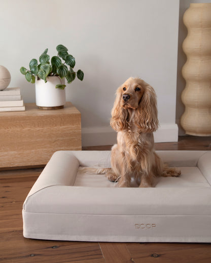Dog Bed Medium Hero Frontal