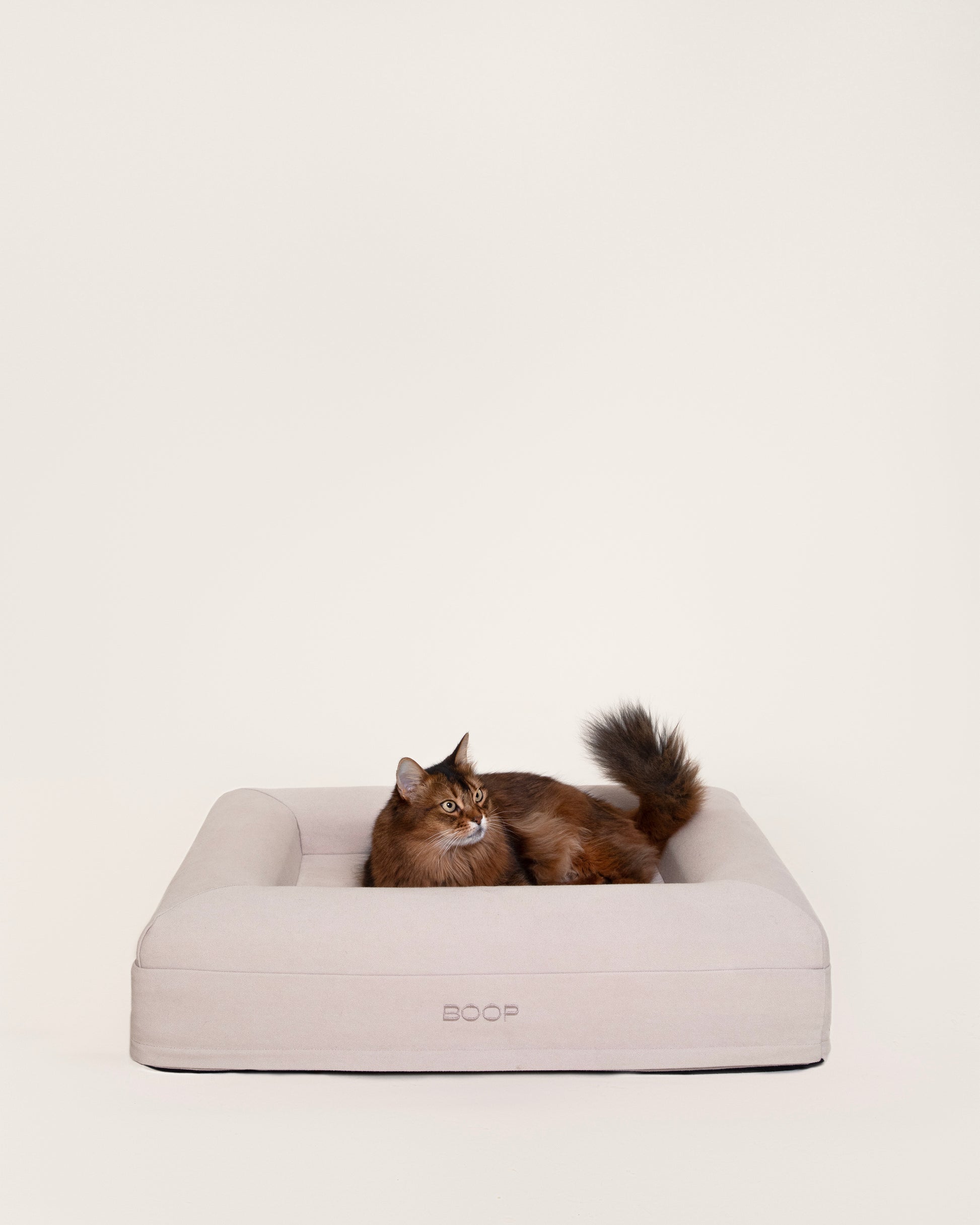 Dog Bed Small Cat Frontal