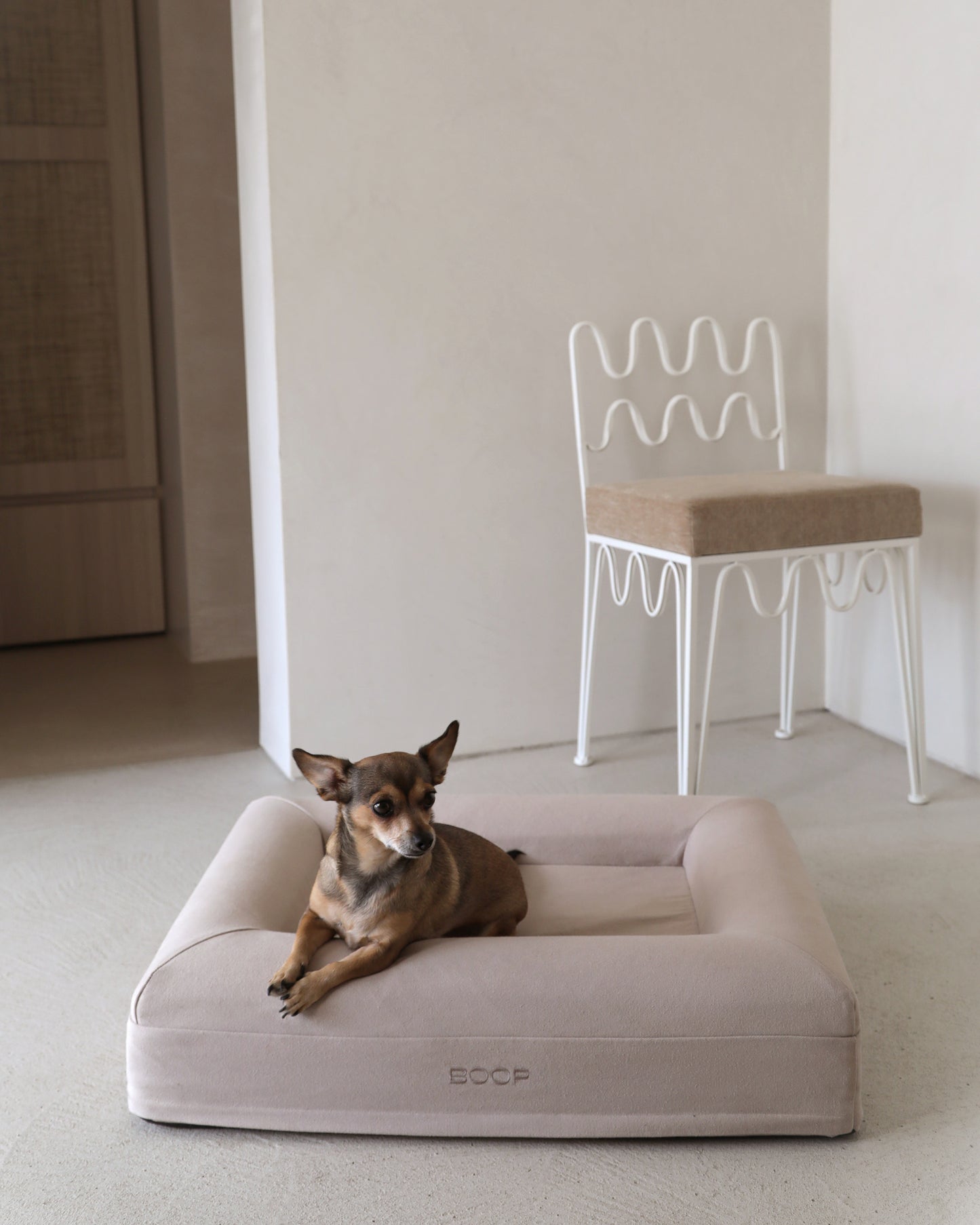 Dog Bed Small Frontal