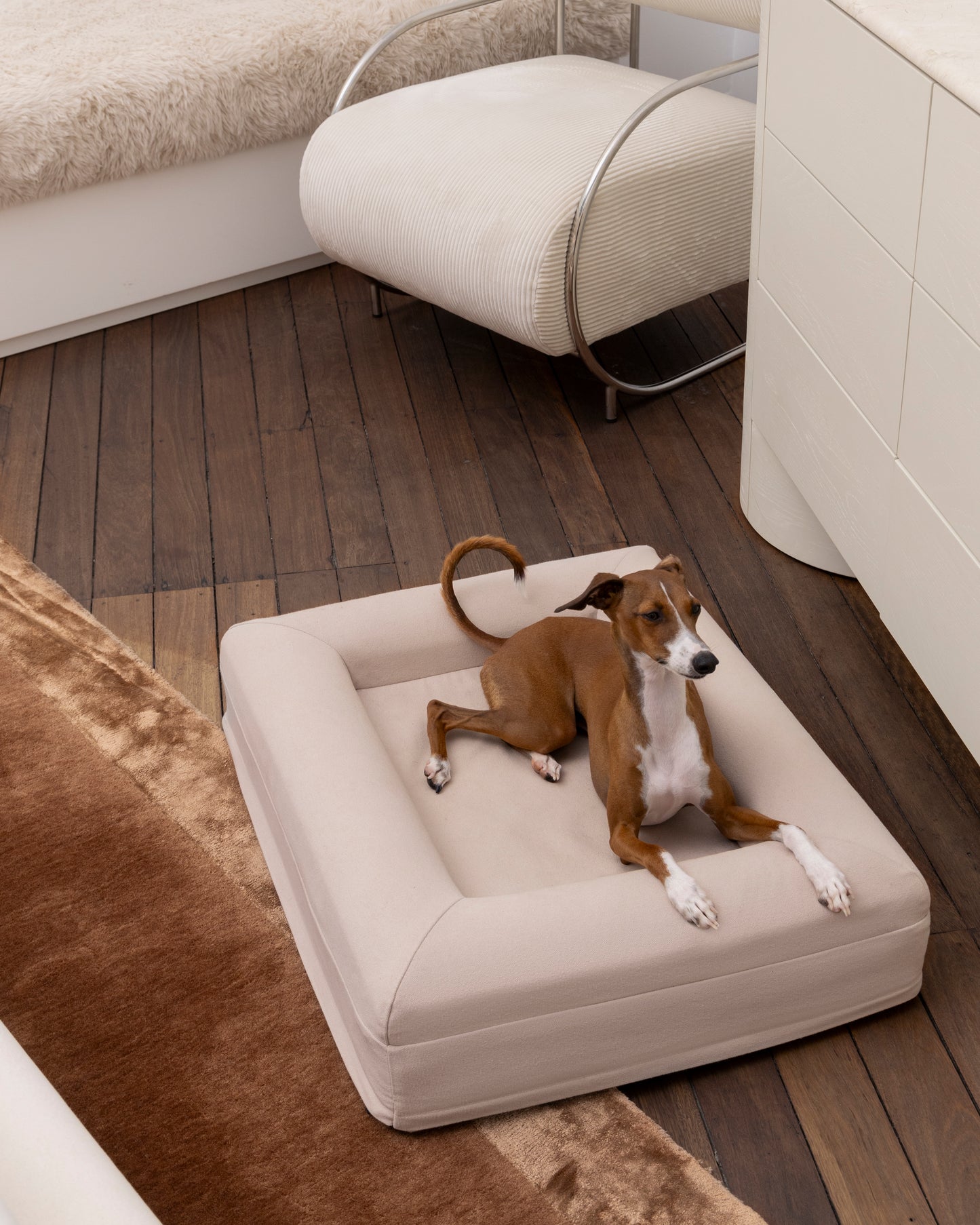 Dog Bed Small Hero Frontal